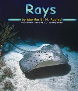 Rays 9780736808583