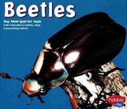 Beetles 9780736842518