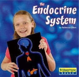 The Endocrine System 9780736854108