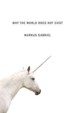 Why the World Does Not Exist 9780745687575
