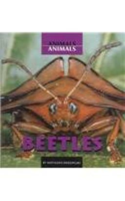 Beetles 9780761417514