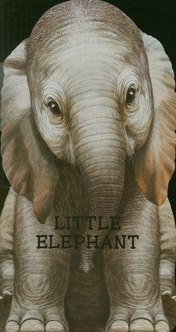 Little Elephant 9780764164262