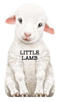 Little Lamb 9780764165115