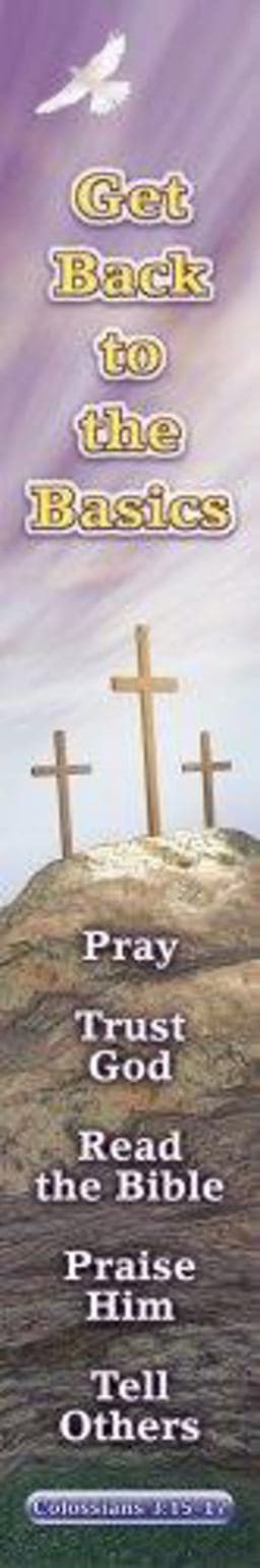 Back to the Basics 9780764709548