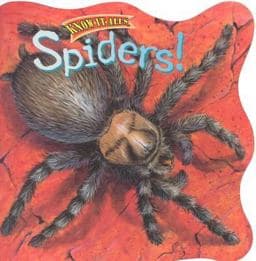 Spiders 9780768101287