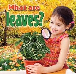 What Are Leaves? 9780778700173