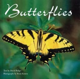 Butterflies 9780785826903