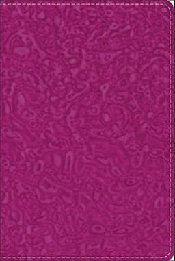 GW Compact Bible Raspberry Swirl Duravella 9780801014208