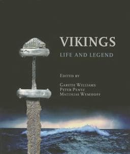 Vikings 9780801479427