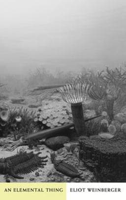 An Elemental Thing 9780811216944
