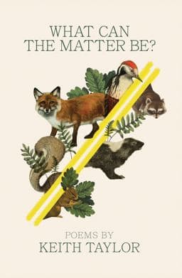 What Can the Matter Be? 9780814351406