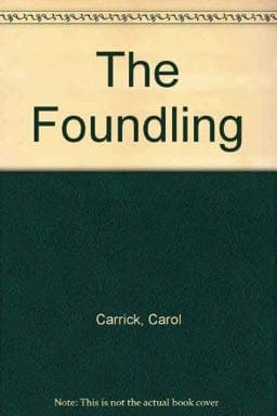 The Foundling 9780816431991