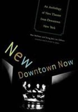 New Downtown Now 9780816647316