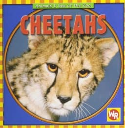 Cheetahs 9780836882254