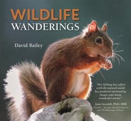 Wildlife Wanderings 9780857043528