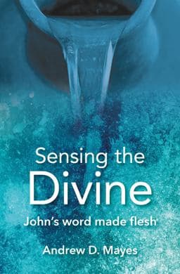Sensing the Divine 9780857466587