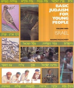 Basic Judaism for Young People 9780874414400