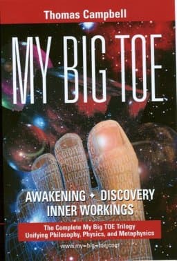 My Big TOE Awakening Discovery Inner Workings 9780972509497