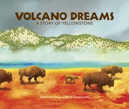 Volcano Dreams 9780988330382