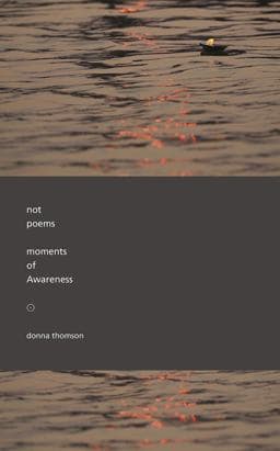 Not Poems 9780991388264