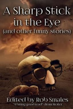 A Sharp Stick in the Eye (and Other Funny Stories) 9780997932942