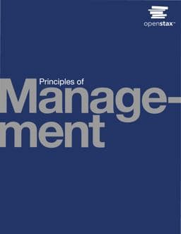 Principles of Management 9780998625768