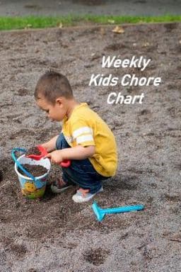 Weekly Kids Chore Chart 9781082778070