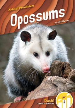 Opossums 9781098228354