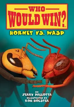 Hornet vs. Wasp 9781098252519