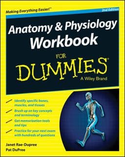 Anatomy and Physiology Workbook for Dummies® 9781118940075