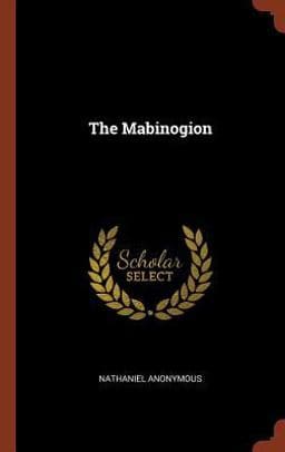 The Mabinogion 9781374932029
