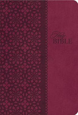 King James Study Bible 9781401680336