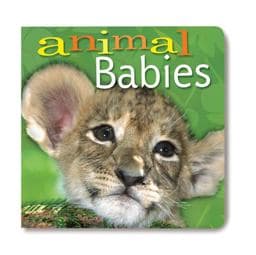 Animal Babies 9781402717178