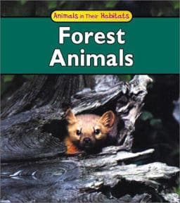 Forest Animals 9781403404367