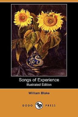 Songs of Experience 9781409936633