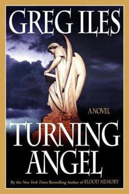 Turning Angel 9781416535560