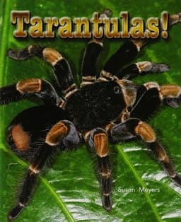 Lbd G2k Nf Tarantulas 9781418935696