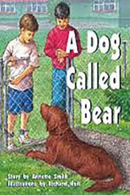 Rigby PM Collection 9781418963057