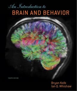An Introduction to Brain and Behavior 9781429242288
