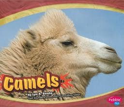 Camels 9781429639927