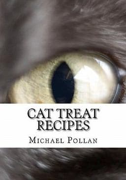 Cat Treat Recipes 9781450574532