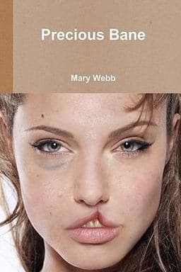 Precious Bane 9781461190554