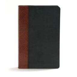 CSB Rainbow Study Bible, Black/Tan LeatherTouch 9781462741878