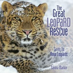 The Great Leopard Rescue 9781467792479