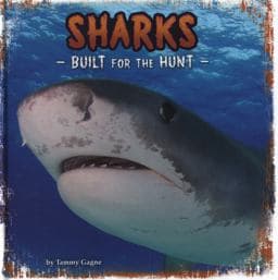 Sharks 9781474701969