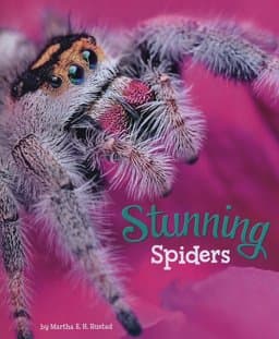 Stunning Spiders 9781474736053