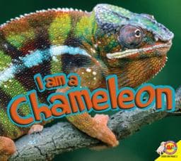 Chameleon 9781489626257