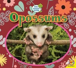 Opossums 9781489653963