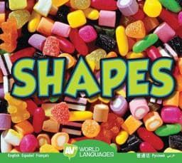 Shapes 9781489666086