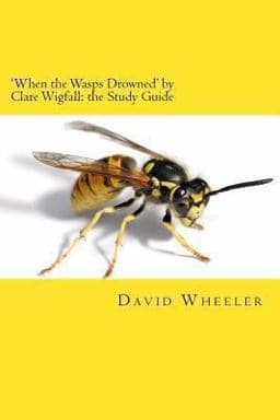 'When the Wasps Drowned' by Clare Wigfall: the Study Guide 9781494279479